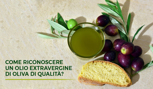 Come riconoscere un olio extravergine di oliva di qualità? - L'Acropoli di Puglia