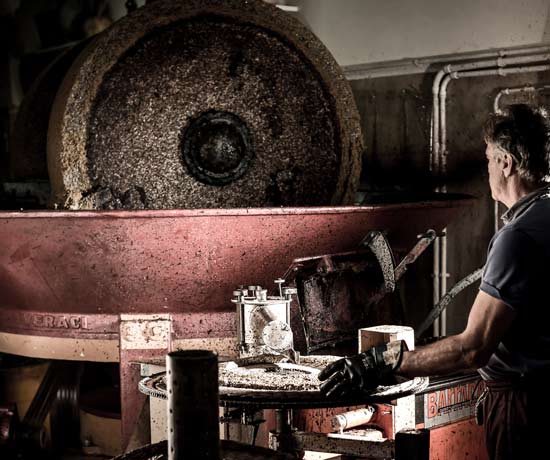 Lavorazione delle olive nel frantoio
