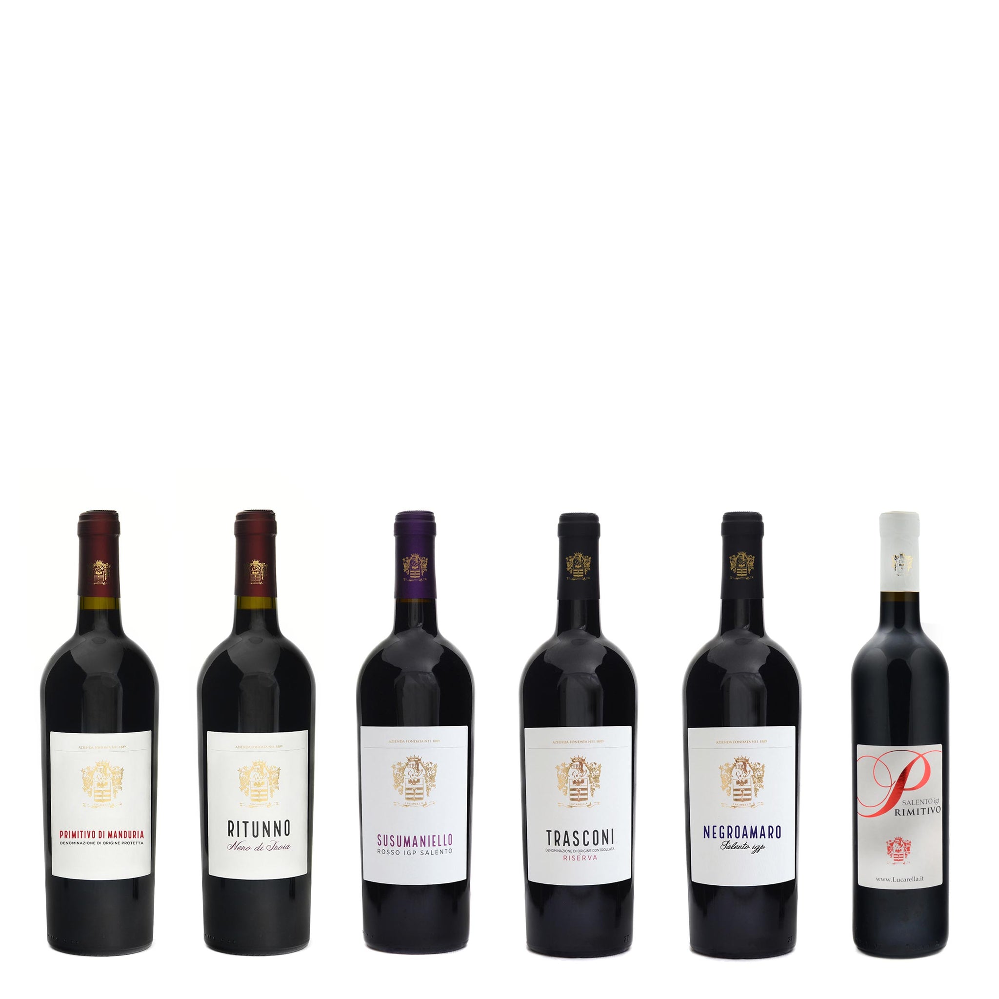 Red wine tasting