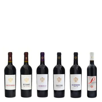 Red wine tasting
